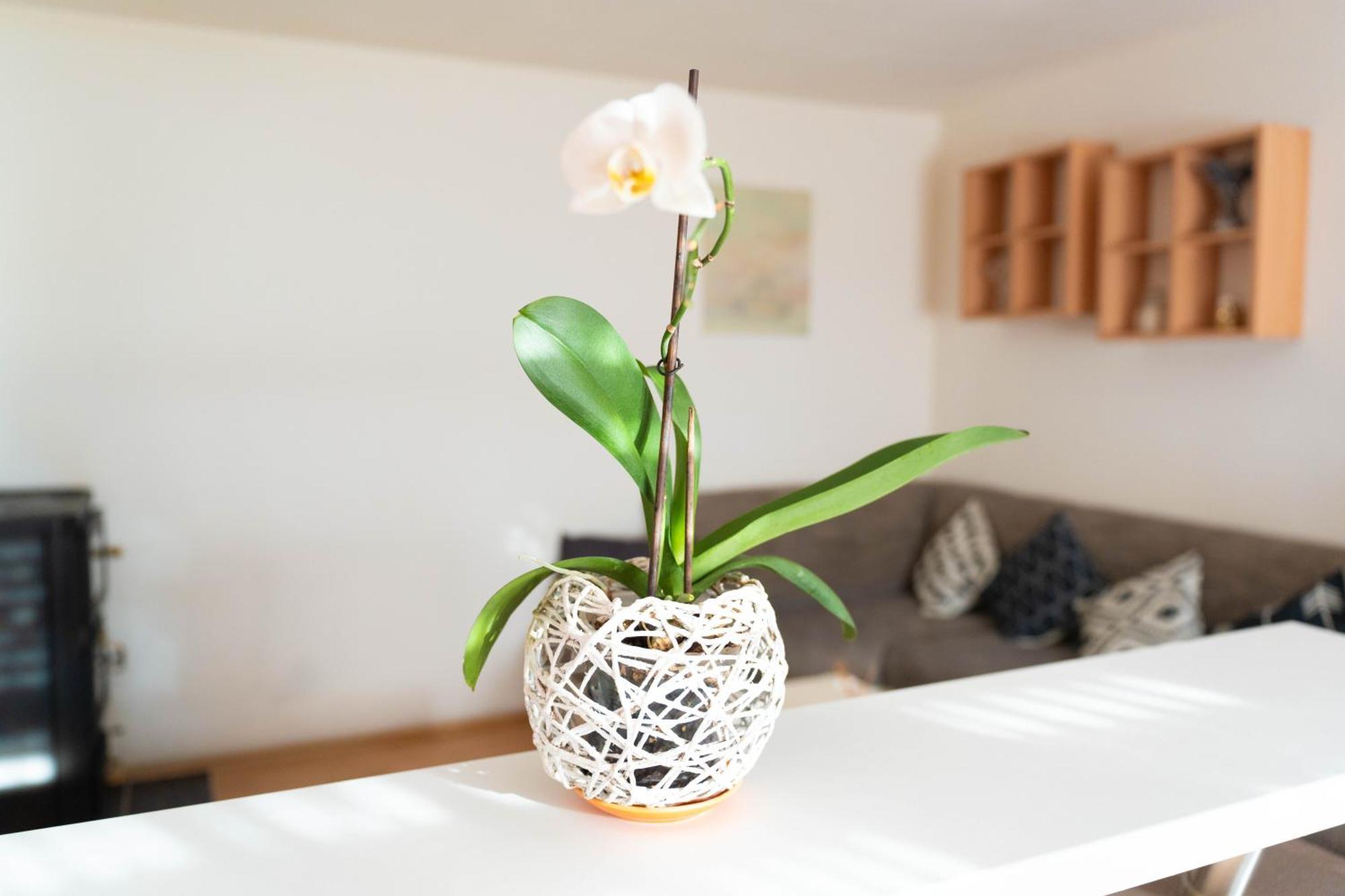 Apartman Lili Книн Екстер'єр фото